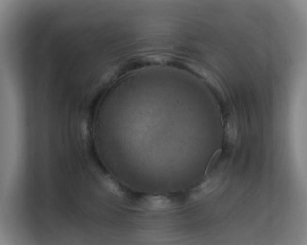 X0000110990424200906261453