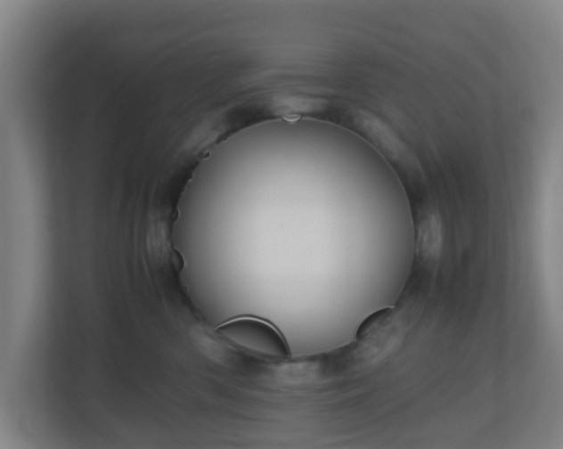 X0000110990426200906261453