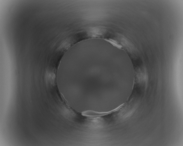 X0000110990427200906261453