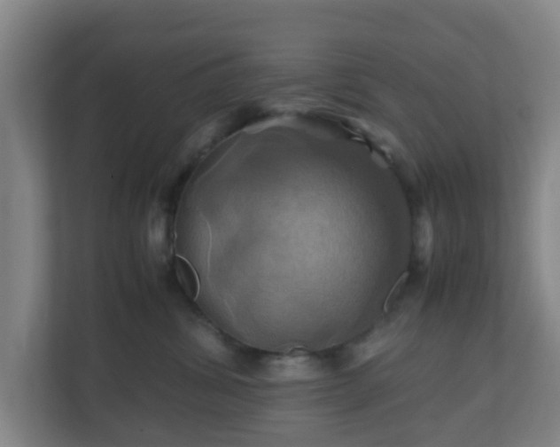 X0000110990428200906261453