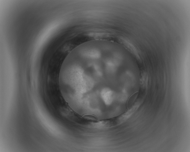 X0000110990430200906261453