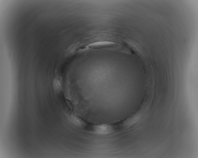 X0000110990432200906261453