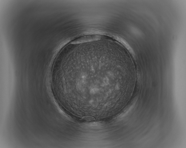 X0000110990433200906261453
