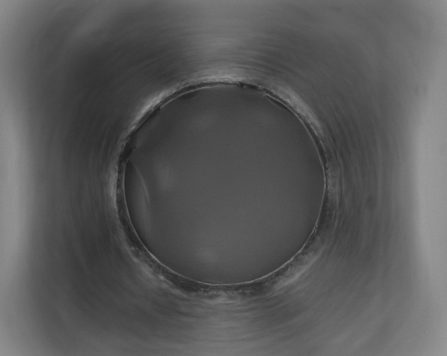 X0000110990434200906261453