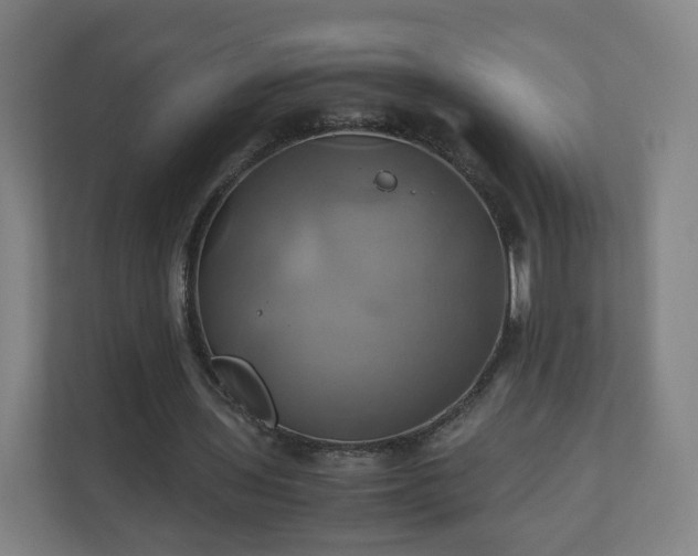 X0000110990435200906261453