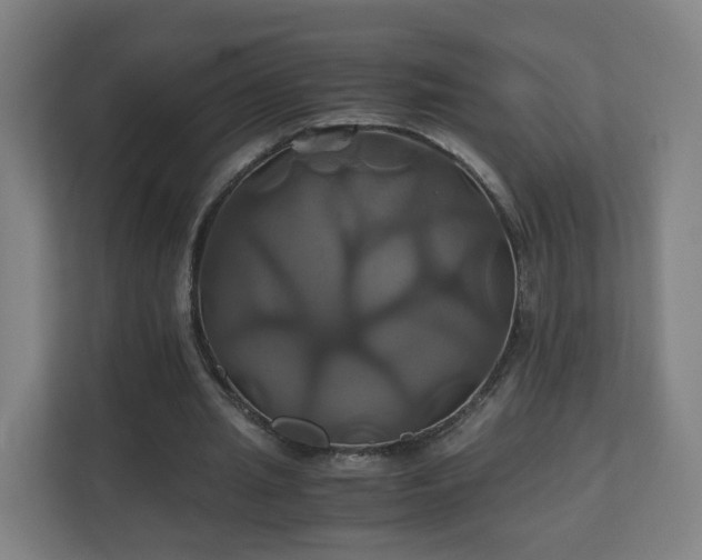X0000110990437200906261453