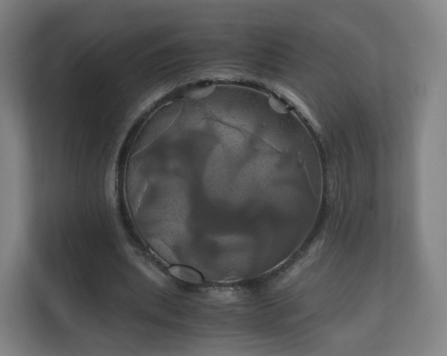 X0000110990439200906261453