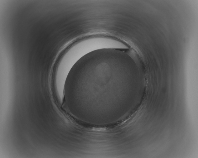 X0000110990440200906261453