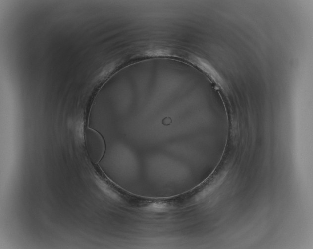 X0000110990441200906261453