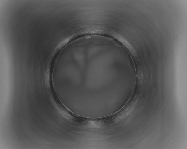 X0000110990442200906261453