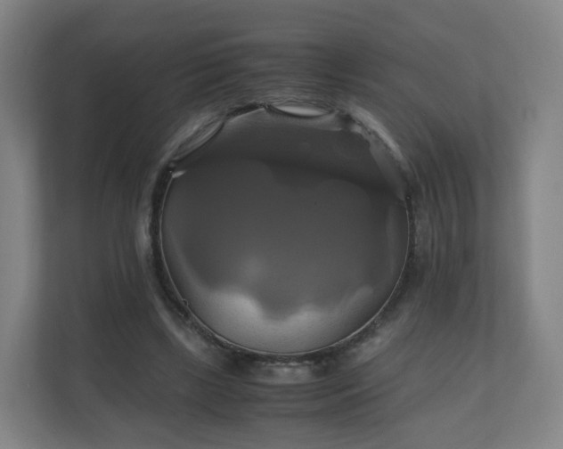 X0000110990443200906261453