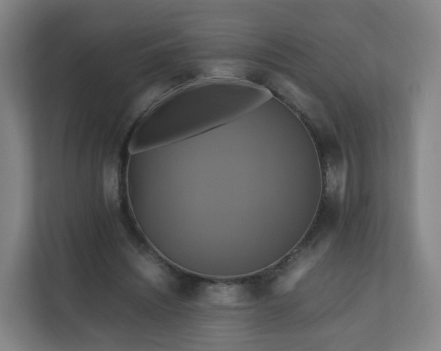 X0000110990444200906261453