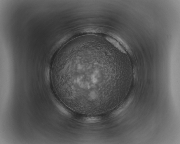 X0000110990445200906261453
