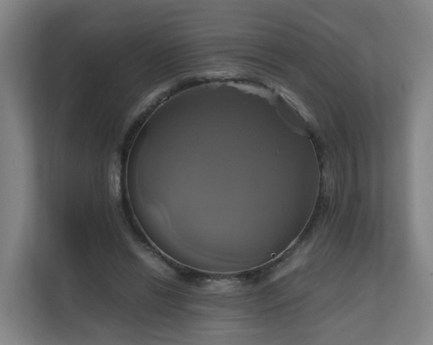 X0000110990446200906261453
