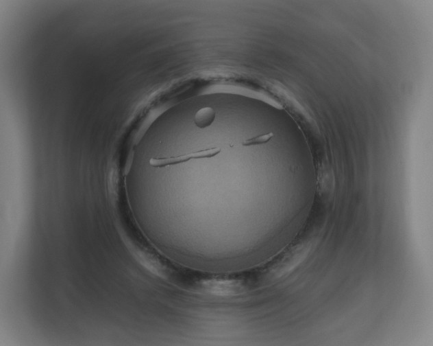 X0000110990448200906261453