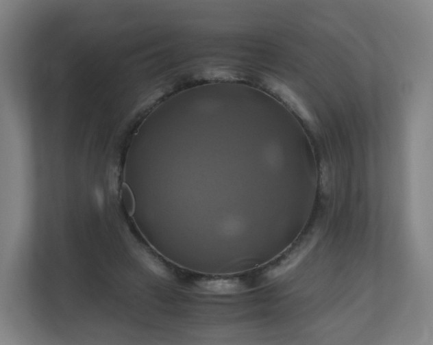 X0000110990449200906261453