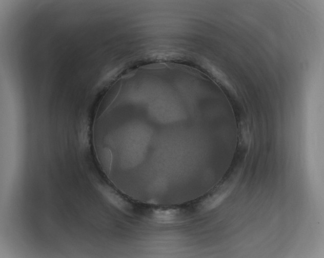 X0000110990450200906261453