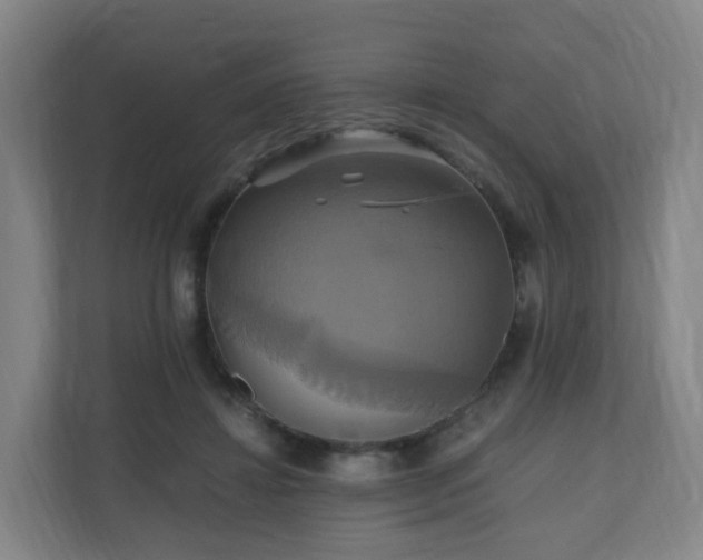 X0000110990452200906261453