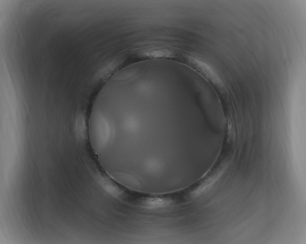 X0000110990453200906261453