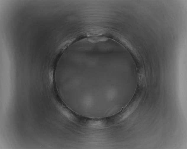 X0000110990454200906261453