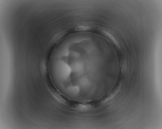 X0000110990455200906261453