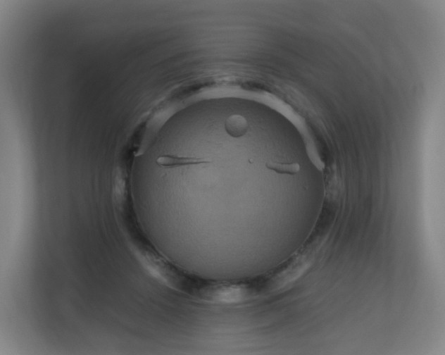 X0000110990456200906261453