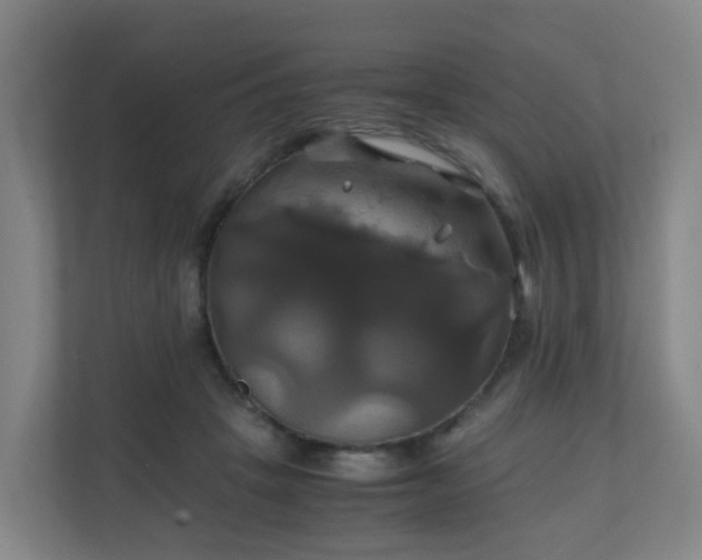 X0000110990457200906261453