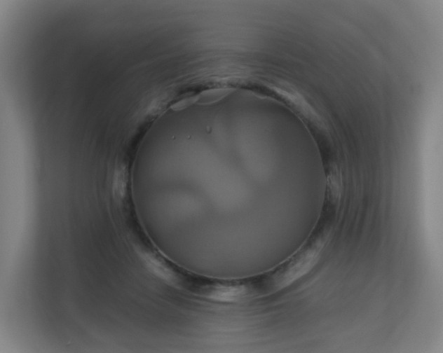 X0000110990458200906261453