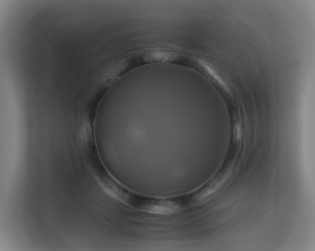 X0000110990459200906261453