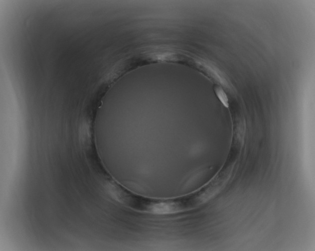 X0000110990461200906261453