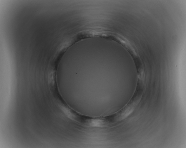 X0000110990462200906261453