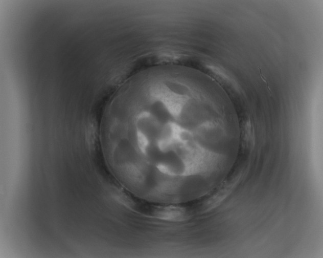 X0000110990463200906261453