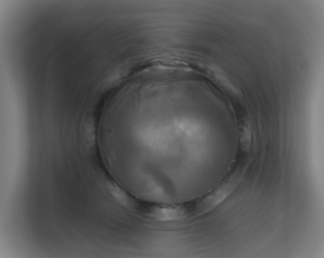 X0000110990466200906261453