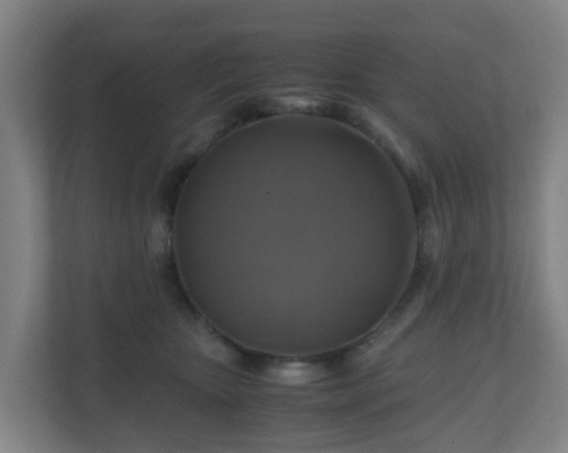 X0000110990467200906261453