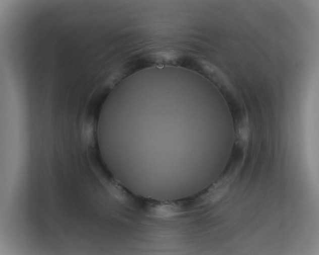 X0000110990468200906261453