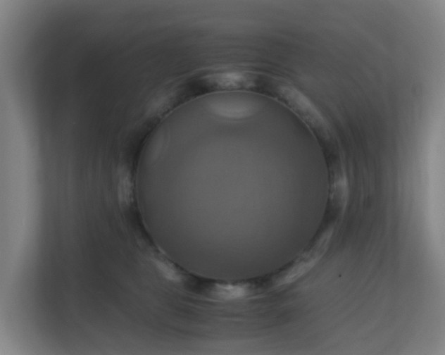 X0000110990469200906261453