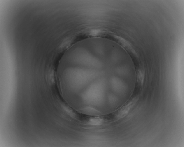 X0000110990470200906261453