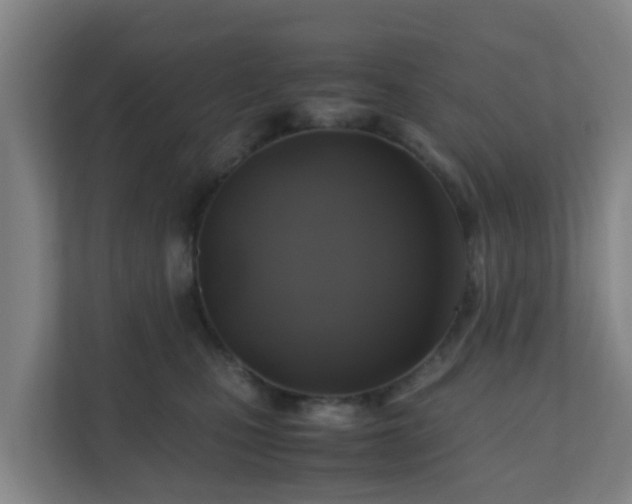 X0000110990471200906261453