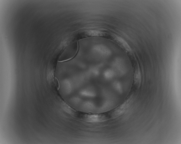 X0000110990473200906261453