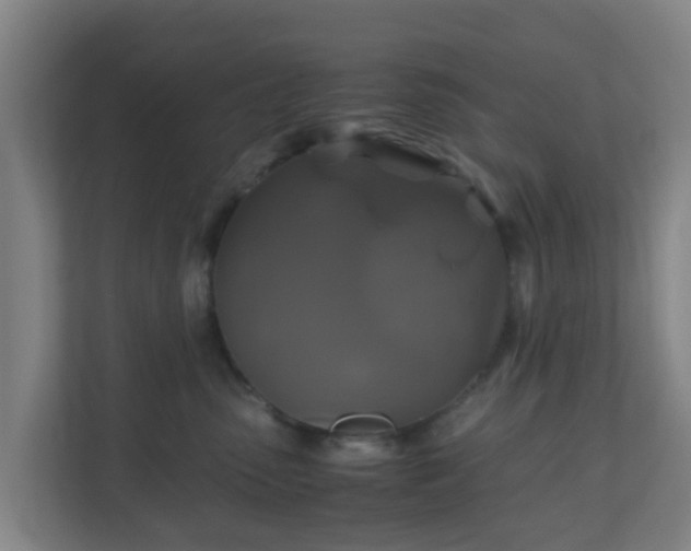 X0000110990475200906261453