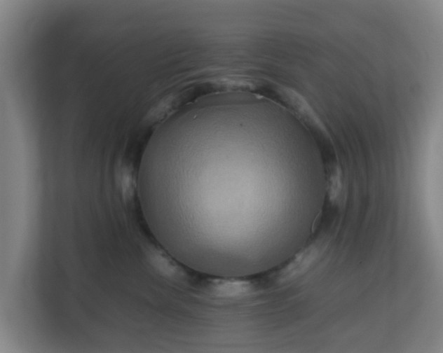 X0000110990476200906261453