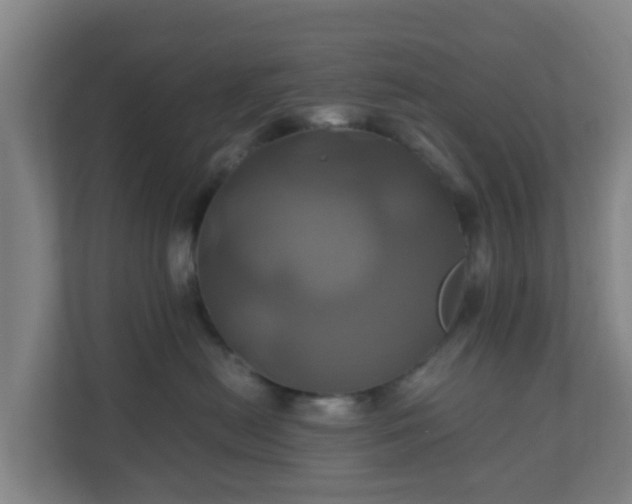 X0000110990478200906261453
