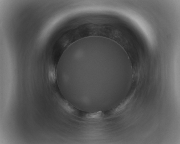 X0000110990479200906261453