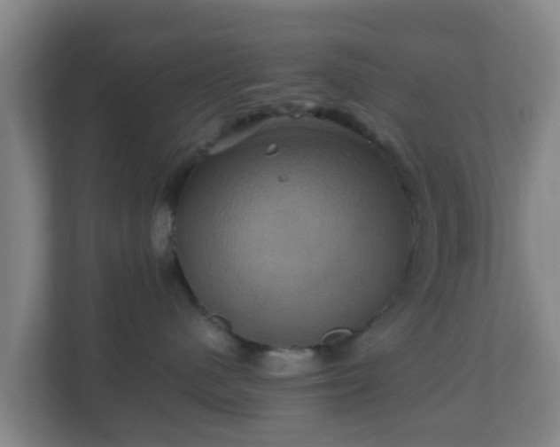 X0000110990480200906261453