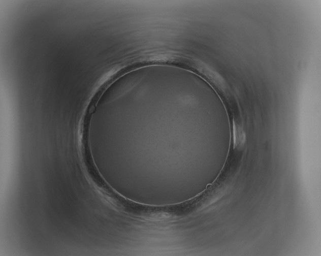 X0000110990483200906261452