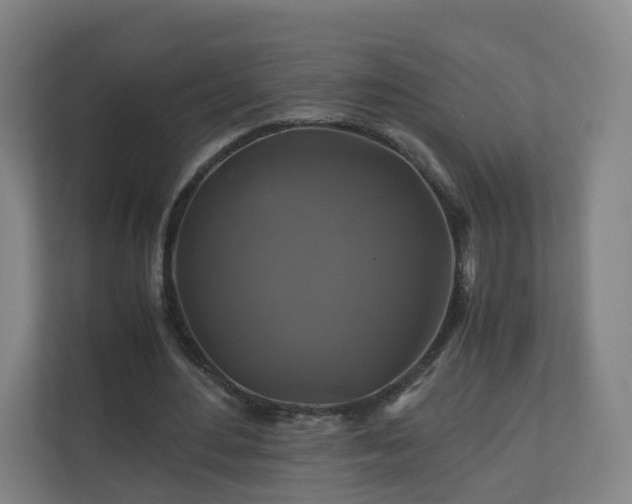 X0000110990484200906261452