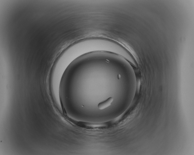 X0000110990485200906261452