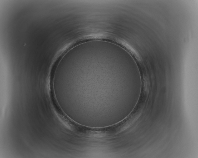 X0000110990486200906261452