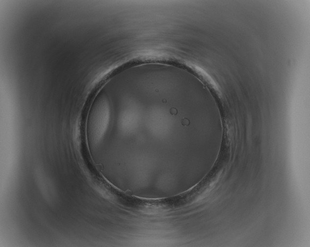 X0000110990487200906261452