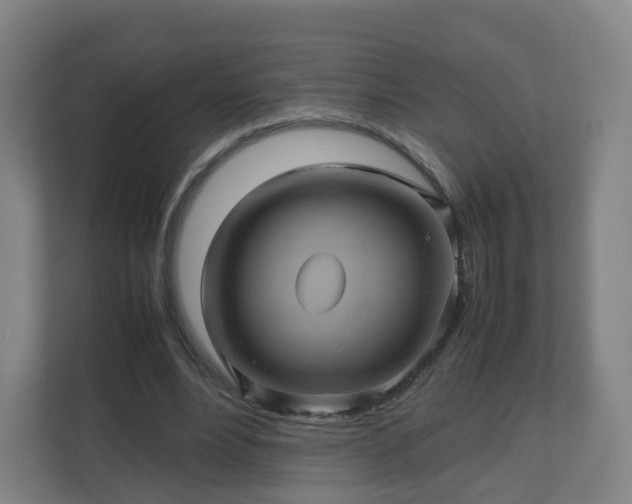 X0000110990488200906261452